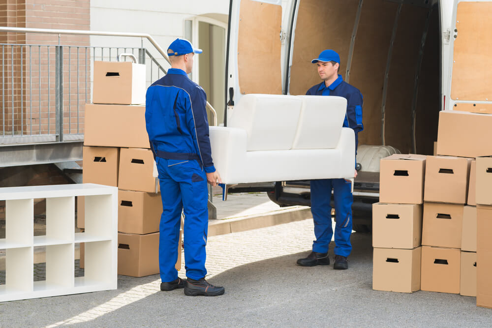 Packing And Moving Homestead